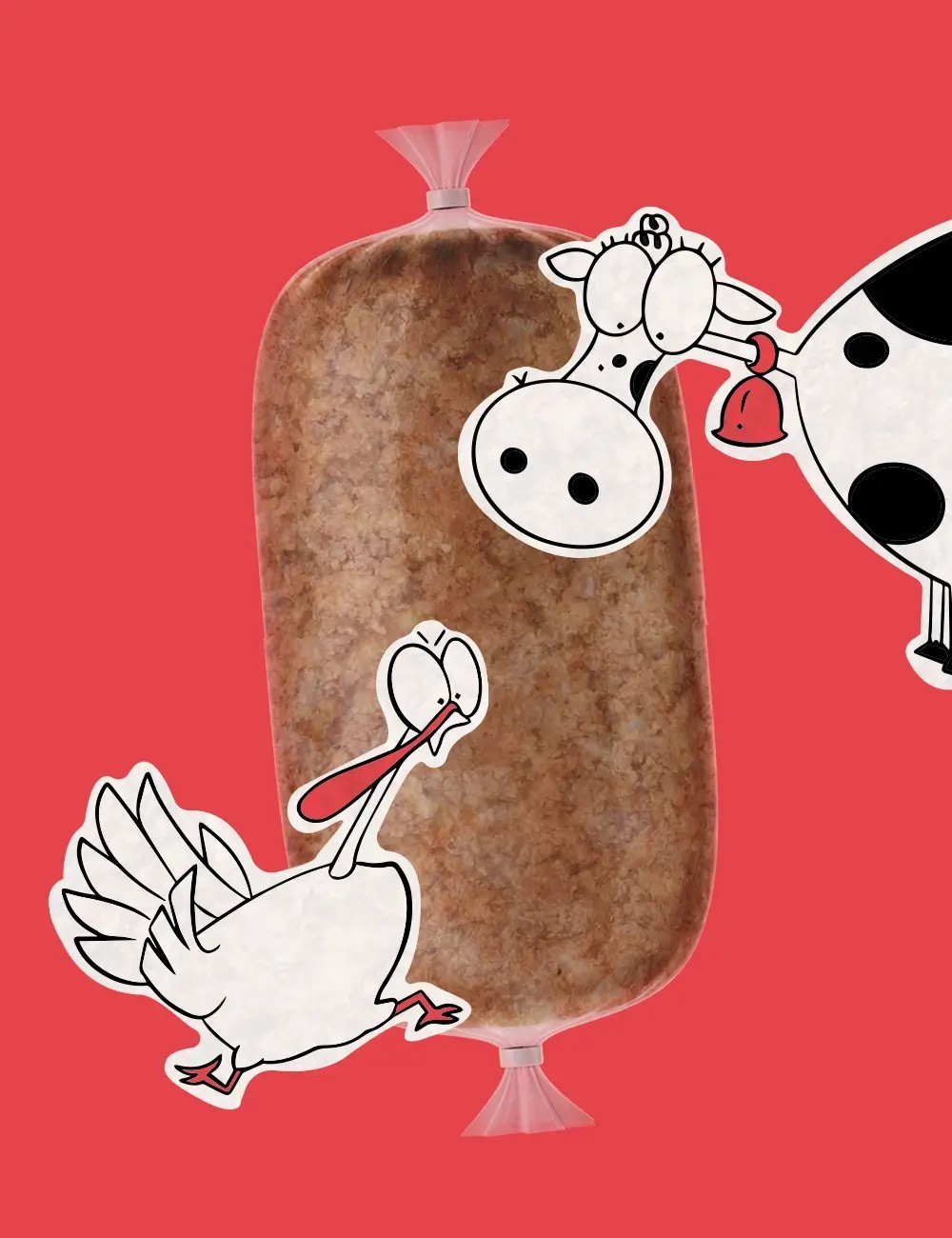 Plato de Ternera y Pavo Cocinado - Comida Natural para tu Gato