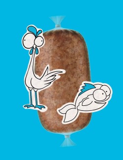 Plato de Pescado y Pollo Cocinado - Comida Natural para tu Gato