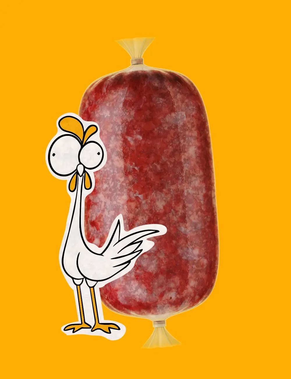 Plato de Pollo Crudo - Comida Natural para tu Gato