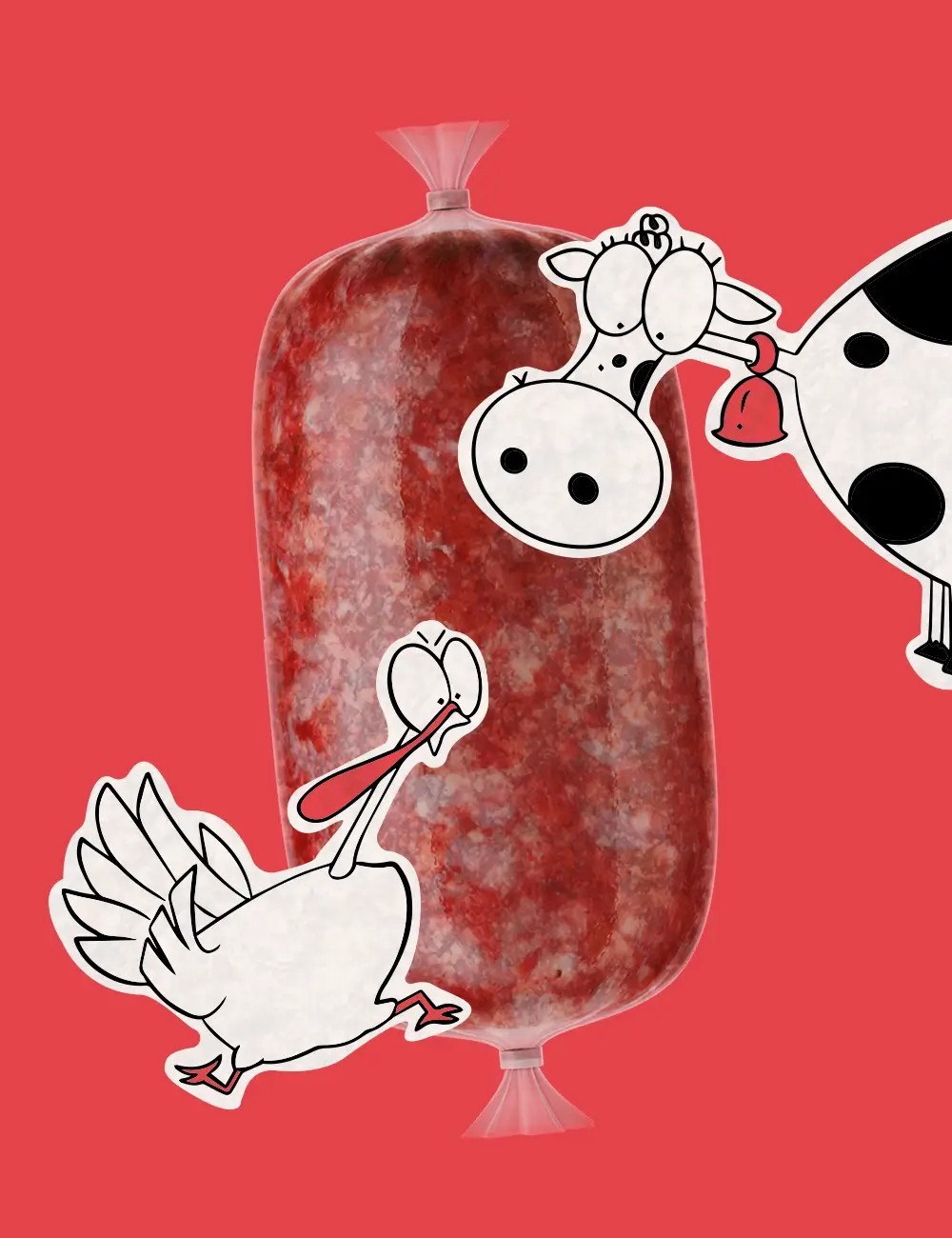 Plato de Ternera y Pavo Crudo - Comida Natural para tu Gato