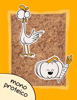 Plato de Pollo Cocinado - Comida Natural para tu perro