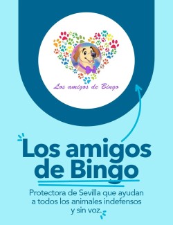 Los Amigos de Bingo
