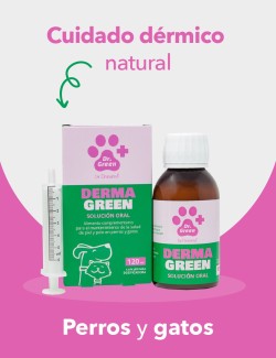 DRGREEN DERMAGREEN SOL. ORAL 120ML