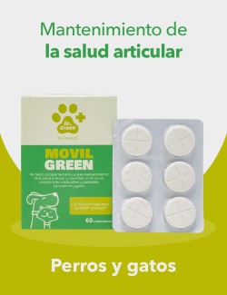 DRGREEN MOVILGREEN PLUS 60 COMP.