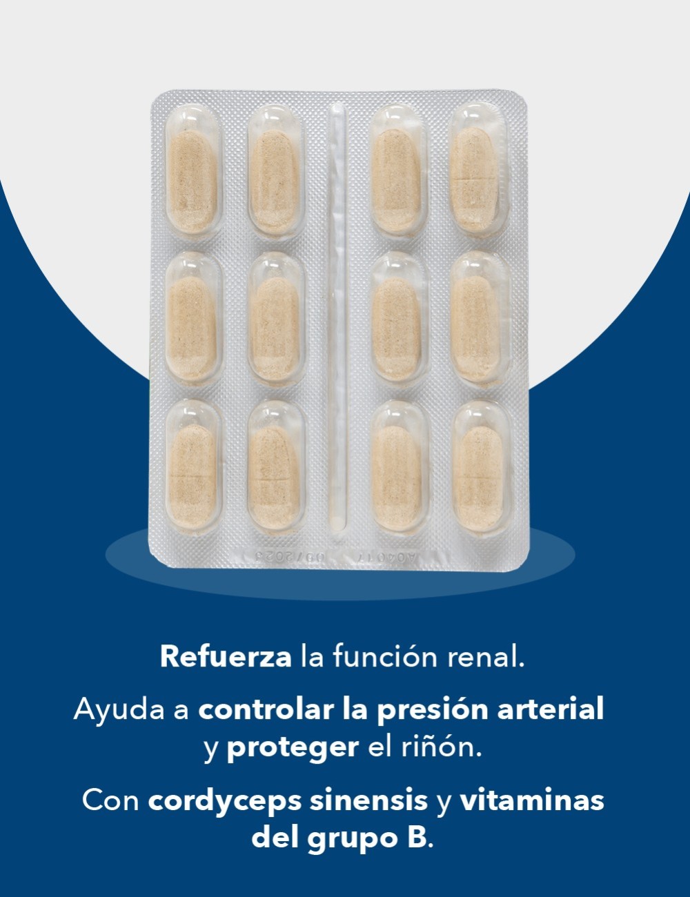 DRGREEN RENALGREEN 48 COMP.