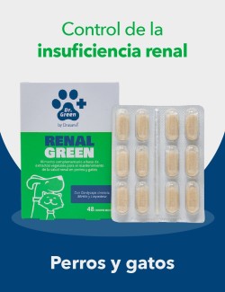 DRGREEN RENALGREEN 48 COMP.