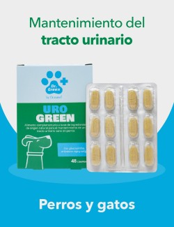 DRGREEN UROGREEN 48 COMP.