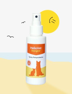 STANGEST HELIOVET SPRAY SOLAR SPF50 80ML