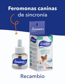 SERENEX RECAMBIO CANINO 40ML