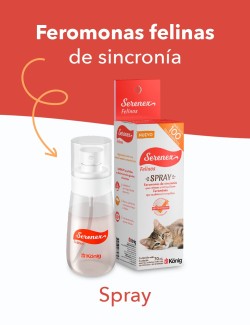 SERENEX SPRAY FELINO 70ML