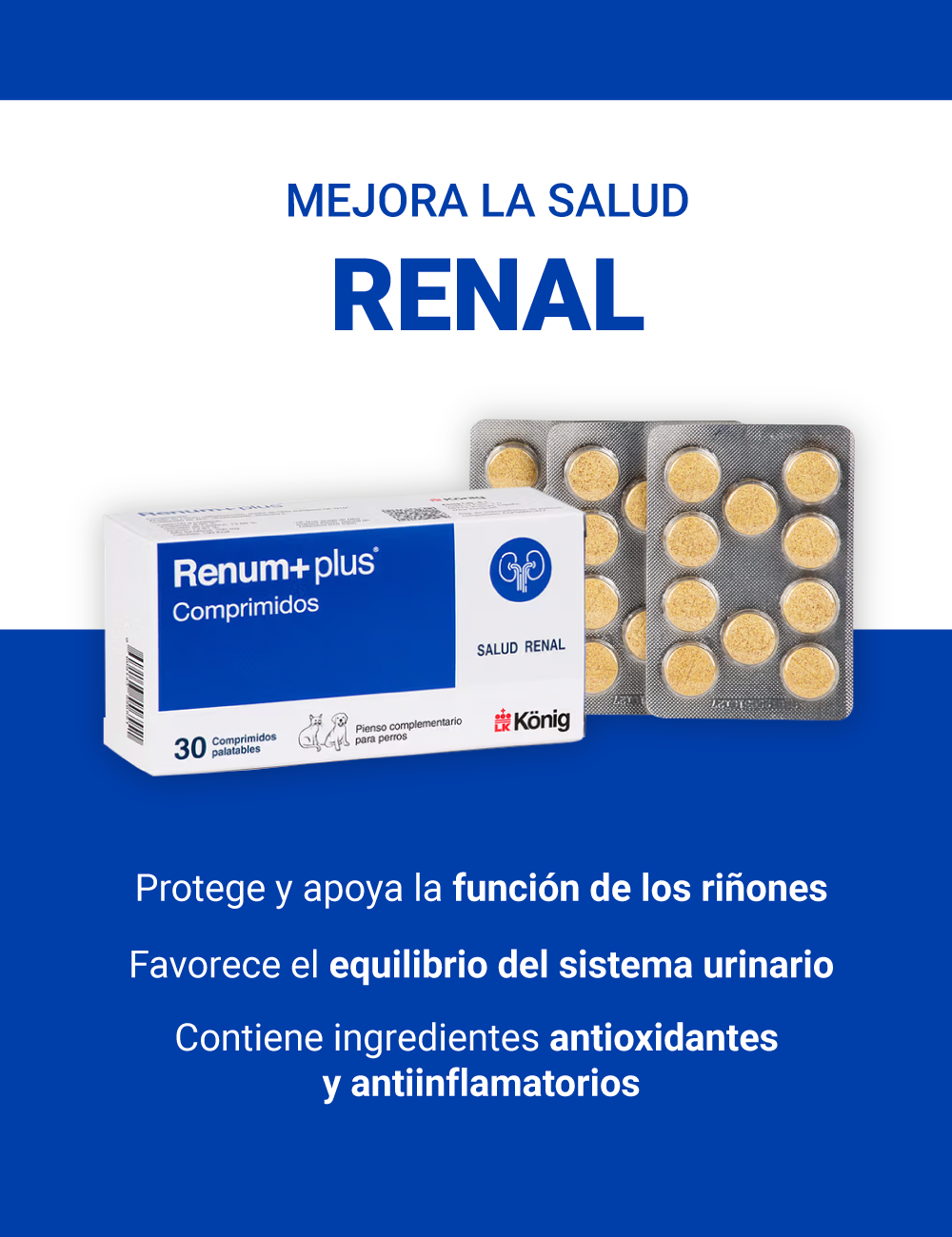 KONIG RENUM PLUS 30CP