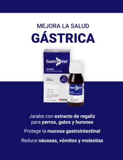 KONIG GASTROVET 60ML