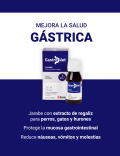 KONIG GASTROVET 60ML