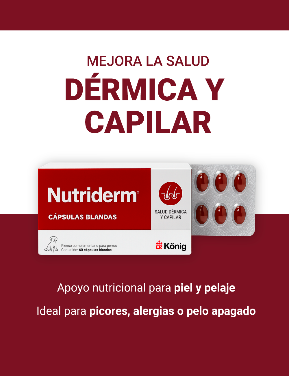 KONIG NUTRIDERM 60CAPS