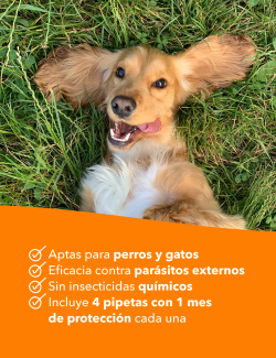 STANGEST STANVET LIFE 4PIP