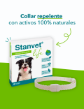 STANGEST STANVET COLLAR LIFE PERRO
