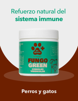 DRGREEN FUNGOGREEN CORIOLUS VERSICOLOR 85G