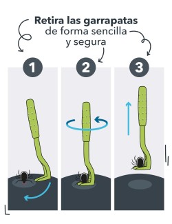 HUNTER GANCHO PARA GARRAPATAS PLASTICO