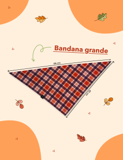BANDANA GRANDE PARA PELUDOS