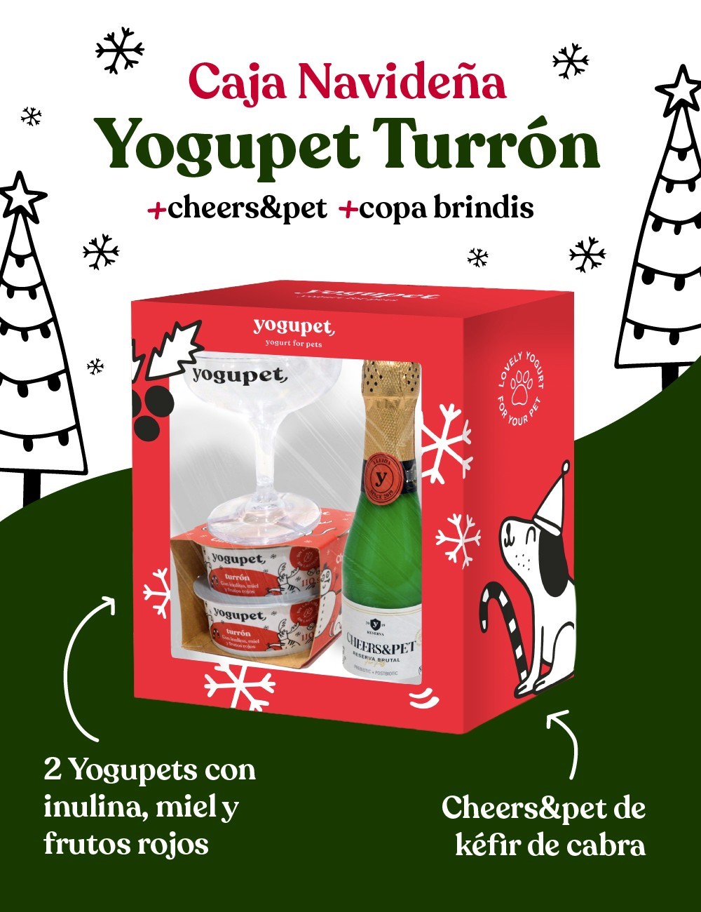 YOGUPET BOX I