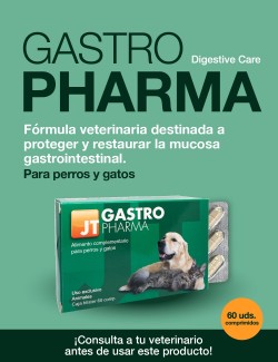 GASTRO PHARMA 60CP JTPHARMA