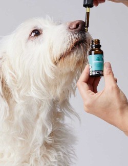 Candidtails aceite de cañamo con CBD para perros grandes