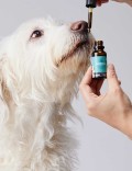 Candidtails aceite de cañamo con CBD para perros grandes
