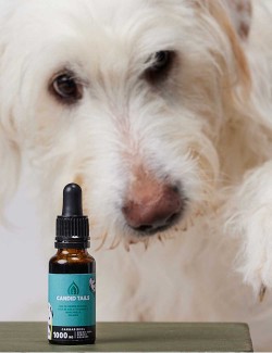 Candidtails aceite de cañamo con CBD para perros grandes
