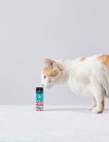 Candidtails aceite de salmón y cañamo con CBD para gatos