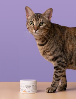 Animally Probiotic Digest 30 UDS