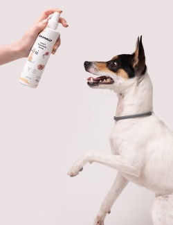 Insect Repellent Spray 250 ml