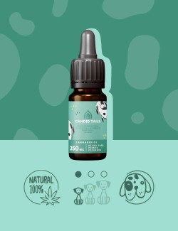 Candidtials aceite de cañamo con CBD para perros pequeños