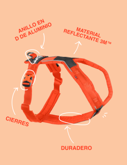 NON-STOP DOGWEAR LINE HARNESS 5.0 NARANJA