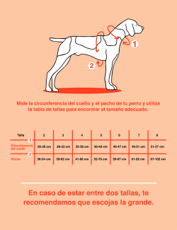 NON-STOP DOGWEAR LINE HARNESS 5.0 NARANJA