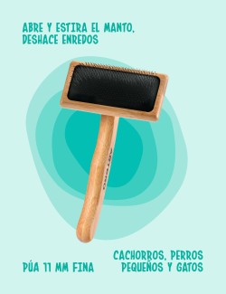 Artero Romeo - Carda Protegida L