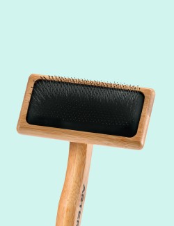 Artero Romeo - Carda Protegida L