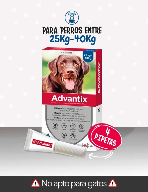 ADVANTIX 4 PIPETAS 4ML +25KG