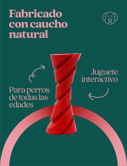 Frogg Dumbbell Juguete Mordedor para perros