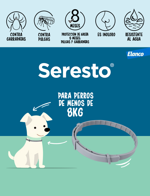 SERESTO COLLAR PERRO PEQUEÑO CLINICO