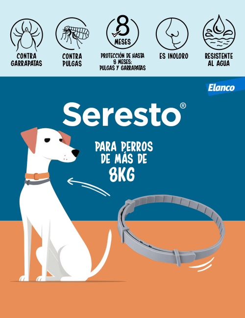 SERESTO COLLAR PERRO GRANDE CLINICO