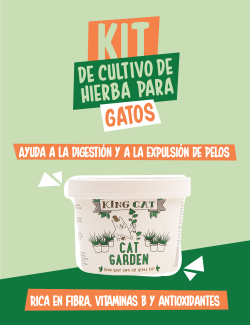 KING CATNIP Kit de cultivo de hierba para gatos