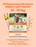 ARAVA PIPETAS NATURALES ANTIPULGAS Y GARRAPATAS PARA PERROS DE 10-50KG