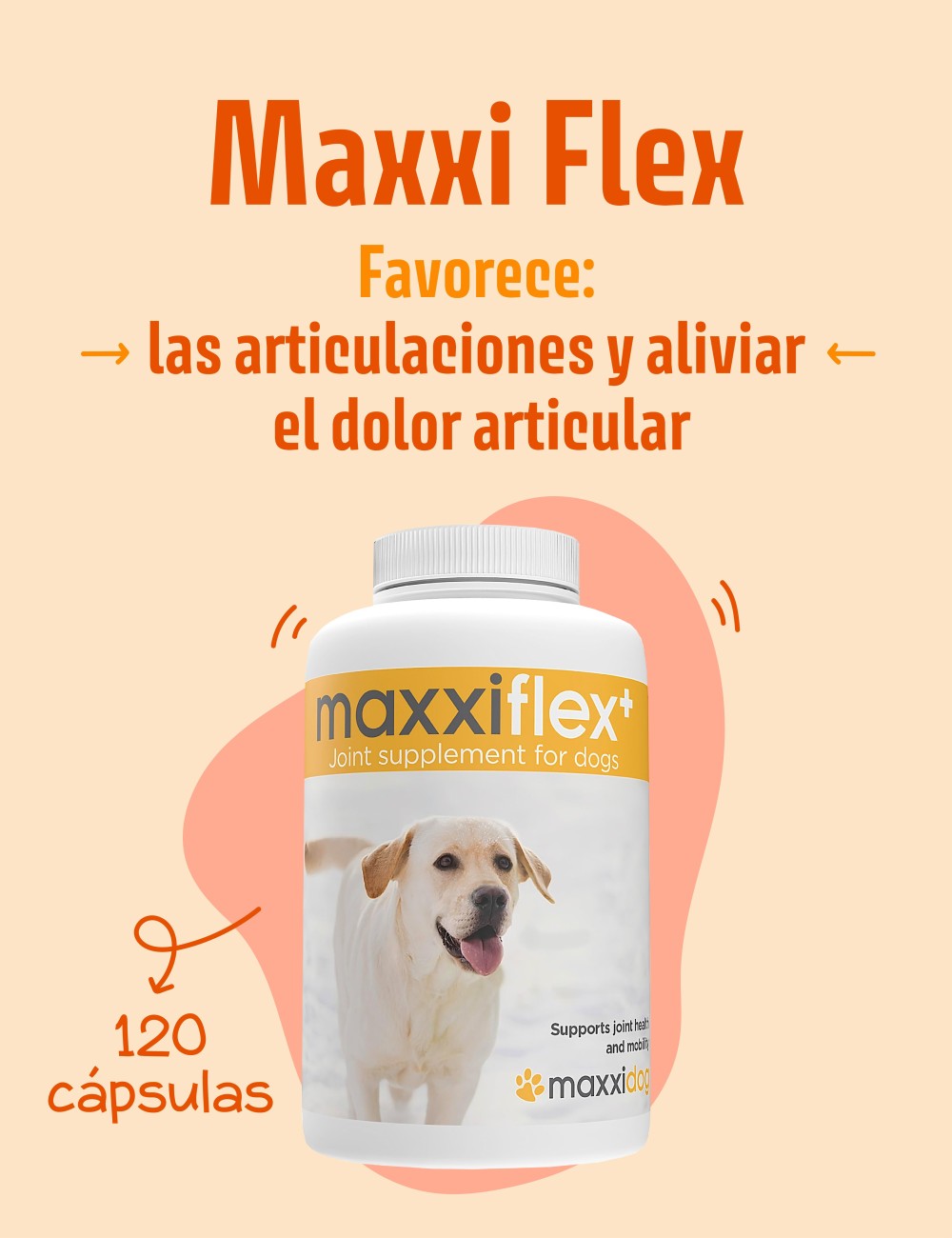 MaxxiFlex 120