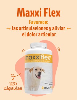 MaxxiFlex 120