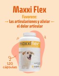 MaxxiFlex 120