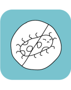 Antiparasitarios
