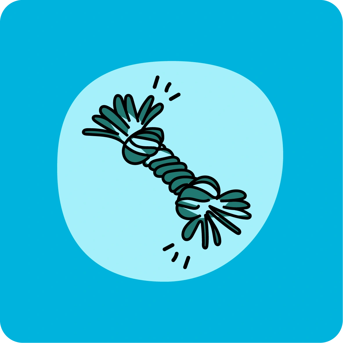 Juguetes y mordedores